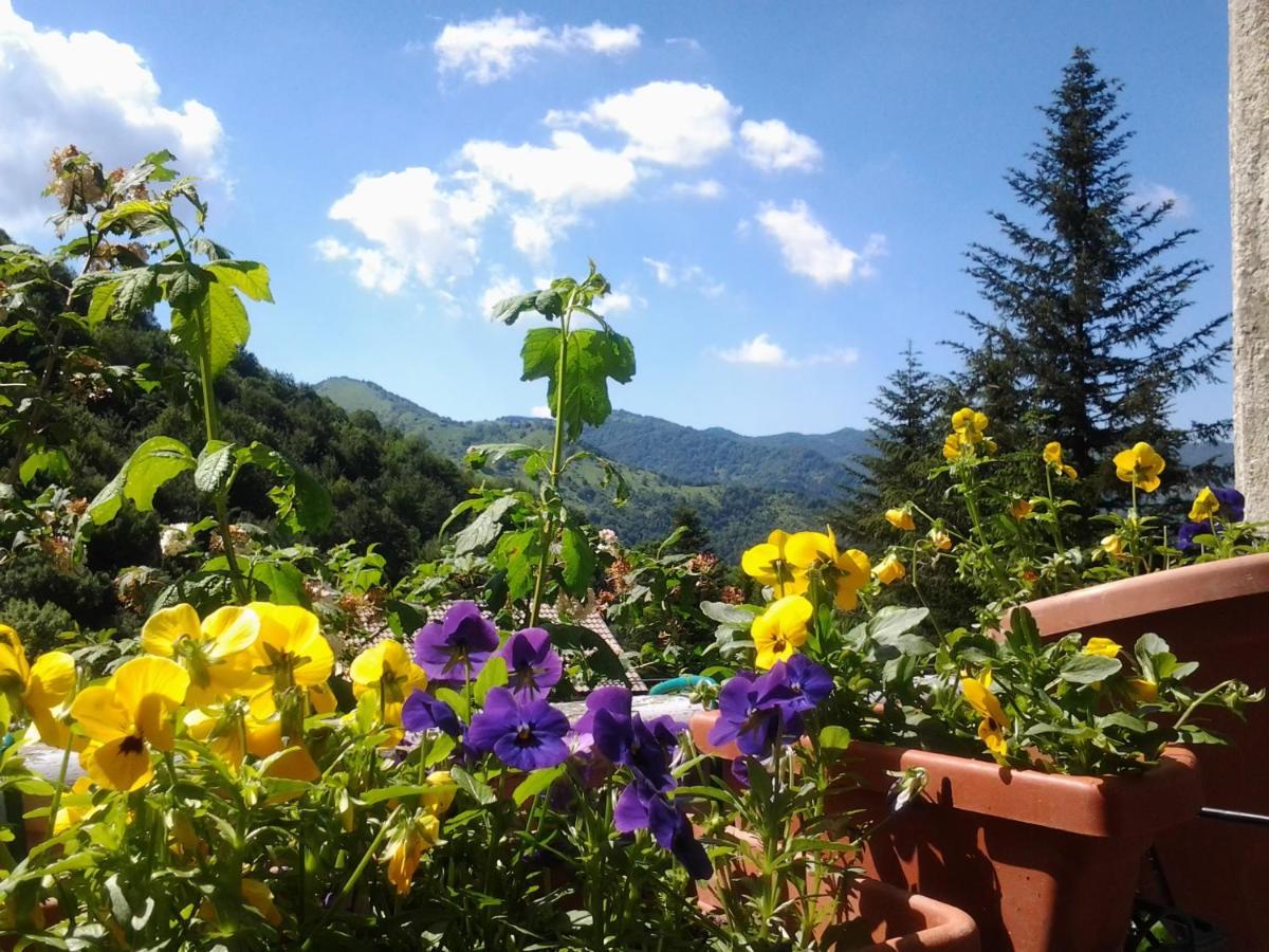 Villatiffany Torriglia Luaran gambar